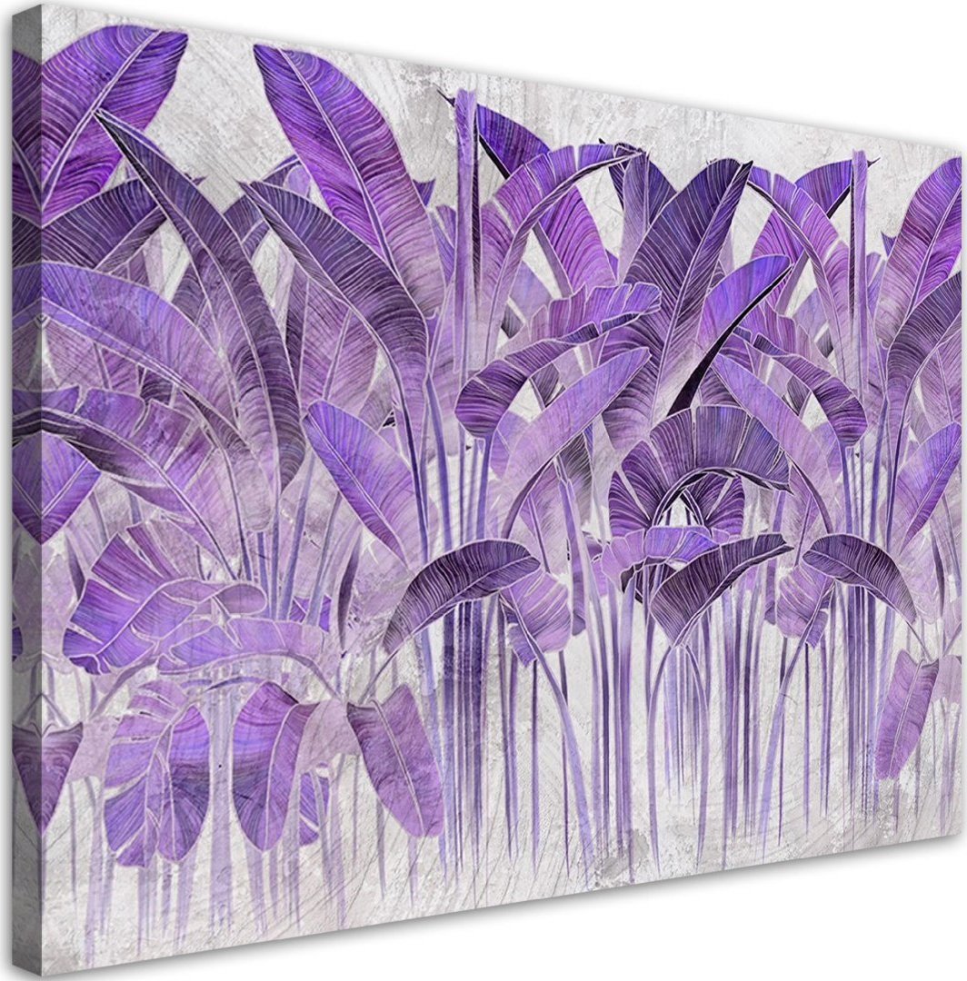 Feeby Obraz na płótnie, Fioletowe liście bananowca - 120x80