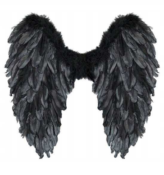 Czarne skrzydła naturalne pióra