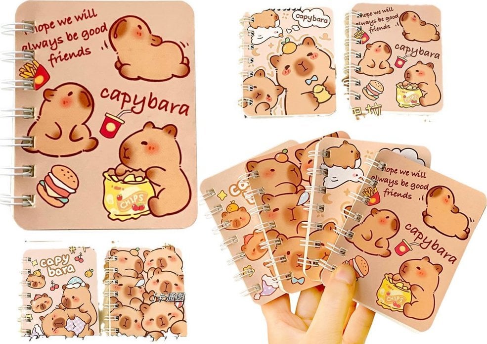 Zestaw Notesów Notatników W Linie Kapibara 4szt A7