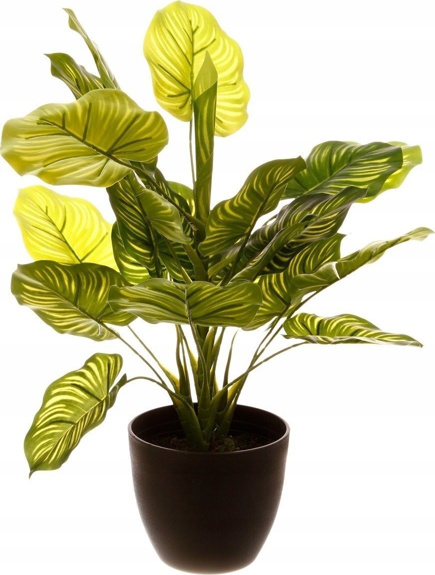 Atmosphera Sztuczna roślina ozdobna w doniczce, 45 cm, naturalna w dotyku