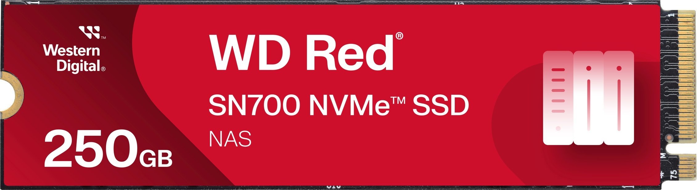 Dysk SSD SanDisk Red SN700 250GB M.2 2280 PCI-E x4 Gen3 NVMe (WDS250G1R0C)