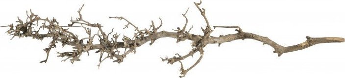 Terra Natura Korzeń Południowy M, 25-35 cm