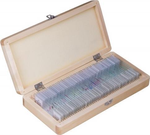 Mikroskop Bresser Zestaw preparatów Bresser w etui, 50 szt.