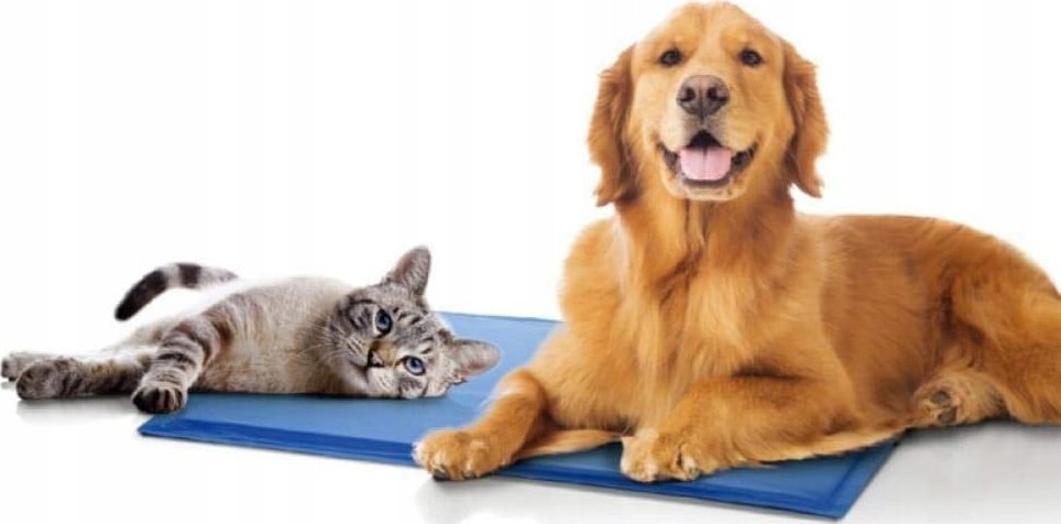 Korbi MATA CHŁODZĄCA DLA PSA KOTA NA LATO LEGOWISKO 40x30cm