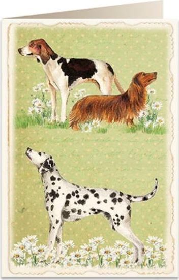 Tassotti Karnet B6 + koperta 5905 Psy