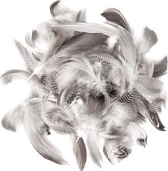 DP Craft PIÓRA KACZE 5-12 CM, 5 G Dalprint