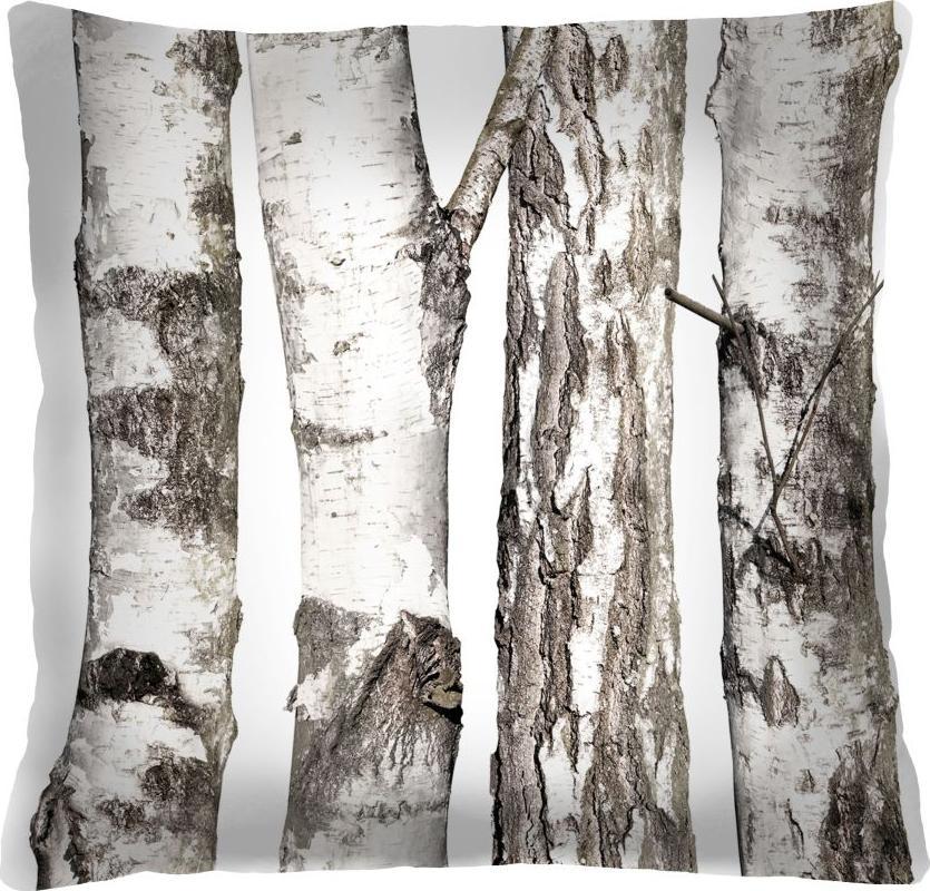 Bertoni-arco Poduszka - BRZOZY 40x40 cm