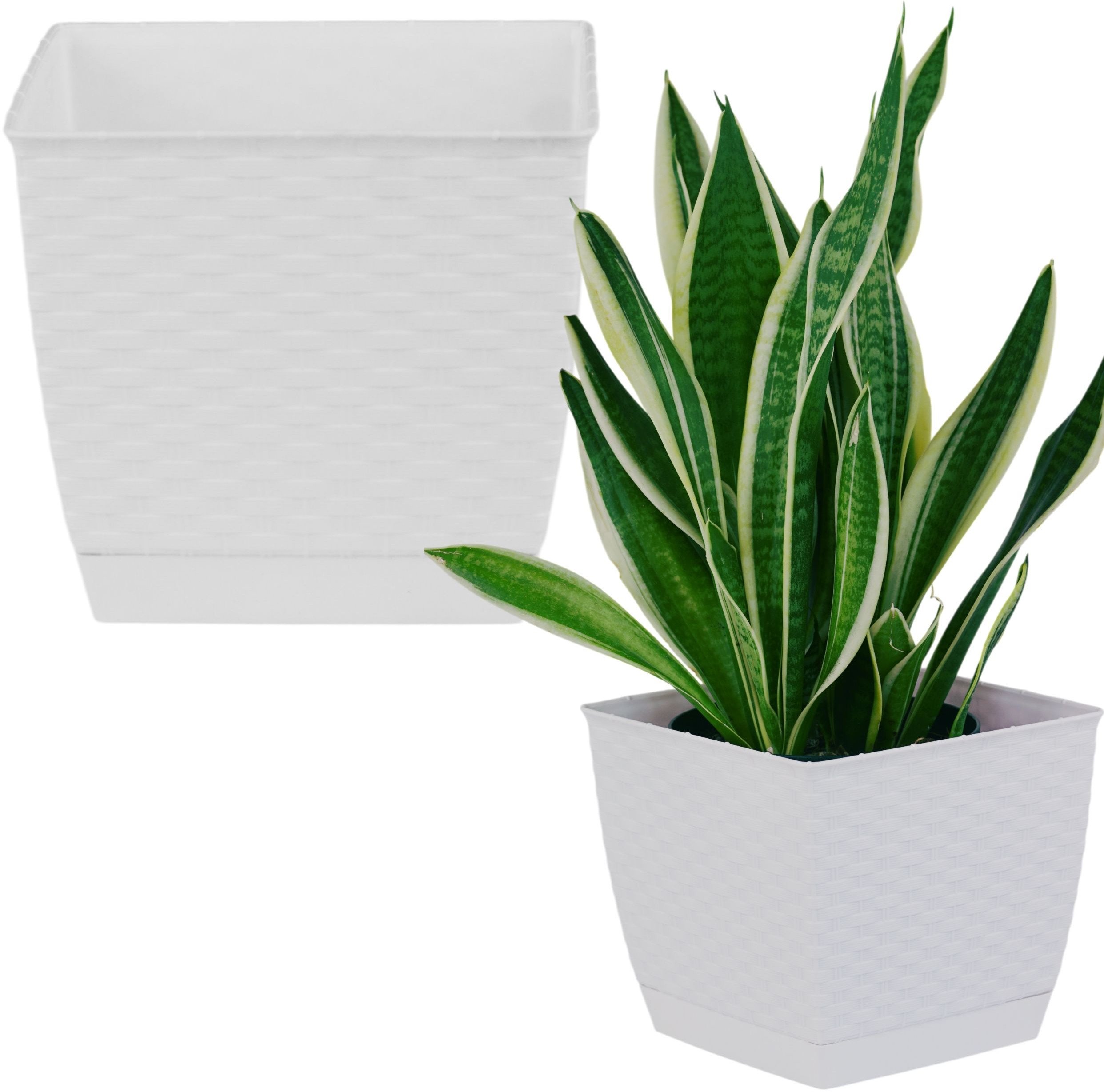 Doniczka z podstawką niska kwadratowa ratanowa 19cm Donica + podstawka