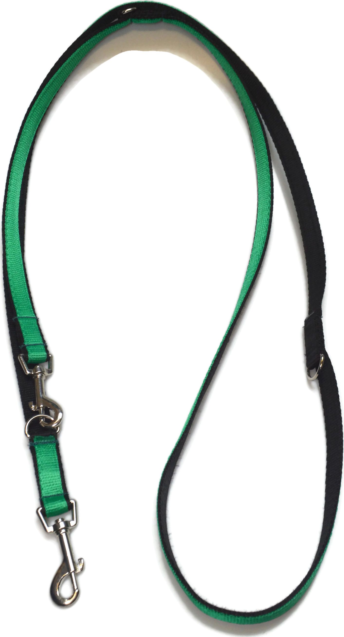 Alizoo Długa smycz dla psa, przepinana, podwójna 20mm/220cm - ALIZOO