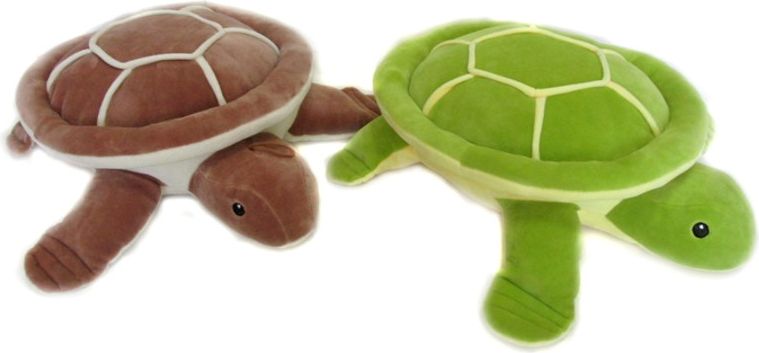 Sandy Żółw (C4016)