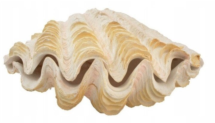 Aqua Natura Dekoracja akwarystyczna muszla perłowa duża 18cm