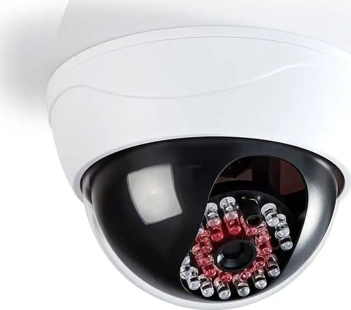 Nedis Nedis DUMCD20WT atrapa kamery bezpieczeństwa Biały Douszne