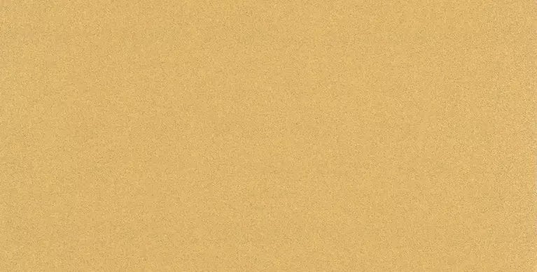 PAPIER EXPERT EXC470,100,115X230,H&L,10X