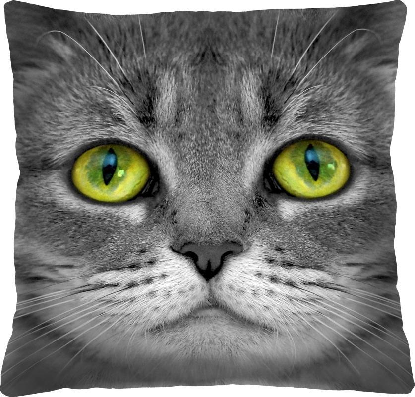 Bertoni-arco Poduszka - LOLEK - 40x40 cm