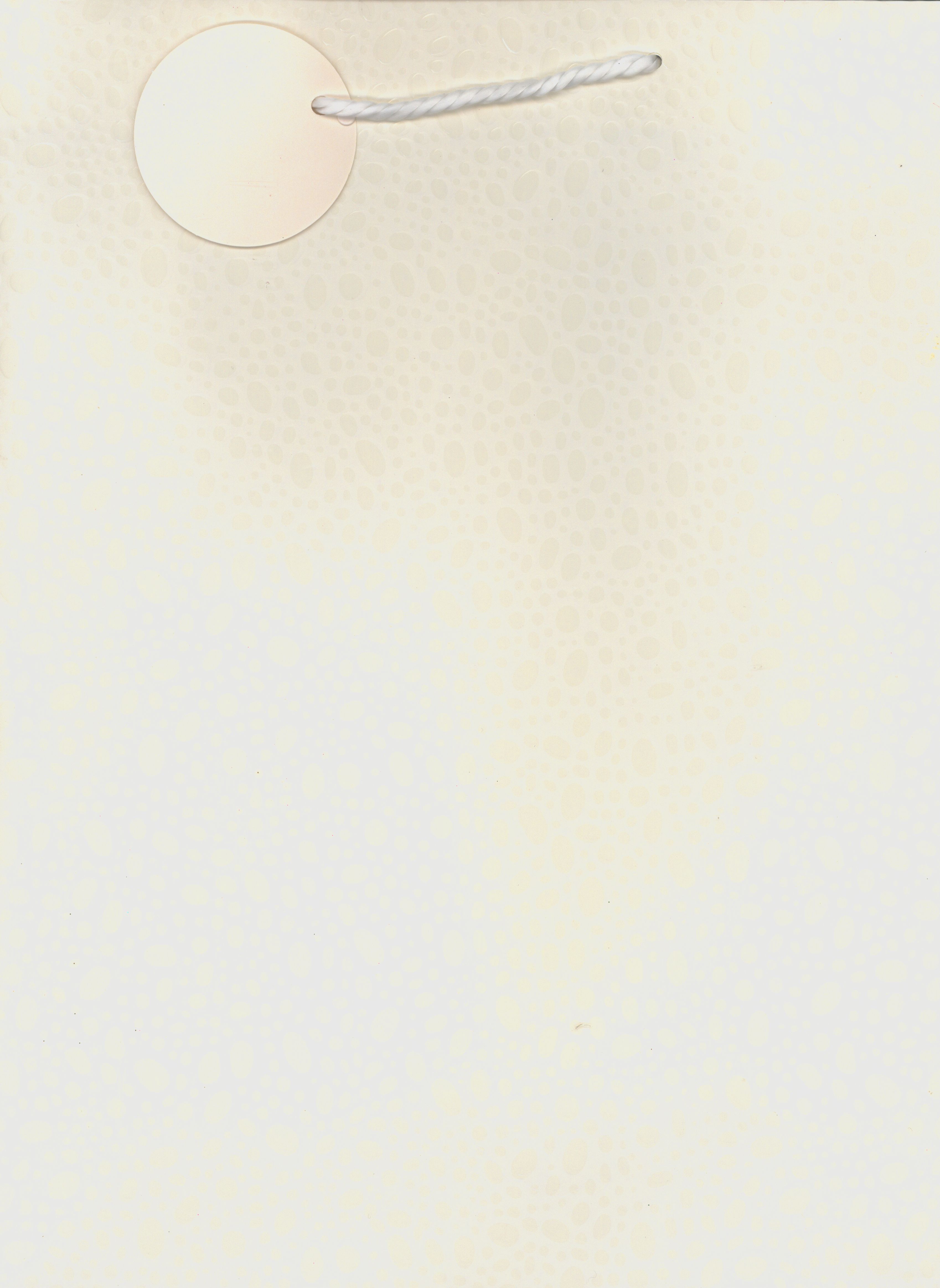 Polsirhurt Torba prezentowa mix kolorów TRB 35-3