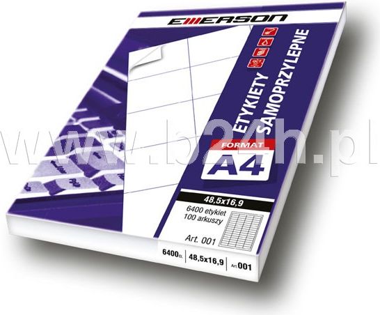 Emerson Etykiety uniwersalne Emerson 12 245x35 biała A100