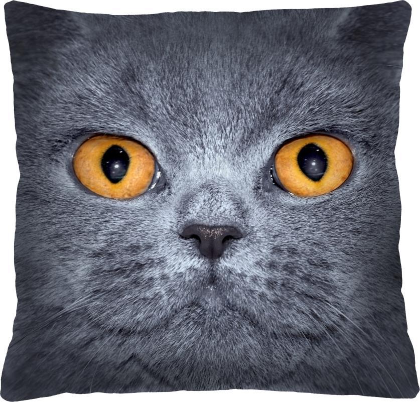 Bertoni-arco Poduszka - LEON - 40x40 cm