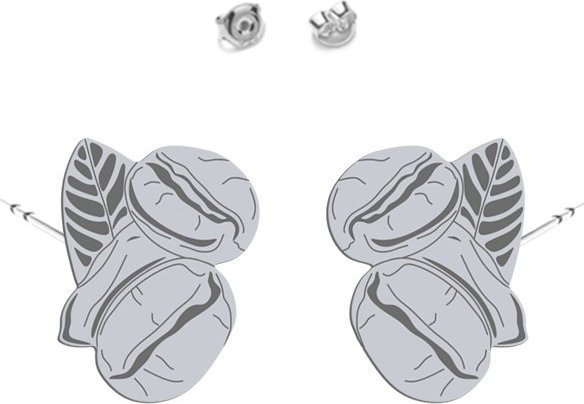 Radziszewska Jewellery Kolczyki z Ziarenkami Kawy srebro925