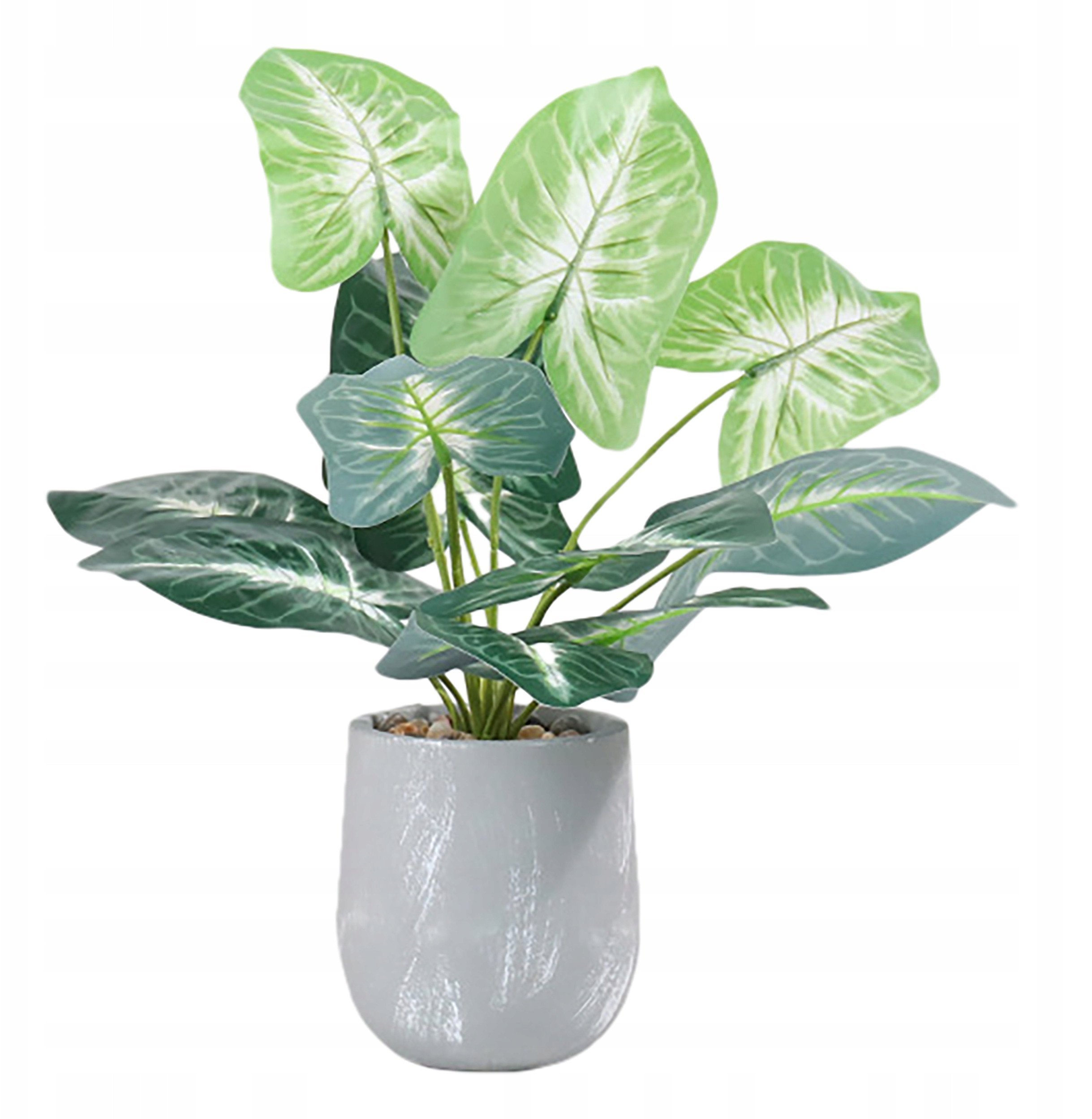 SZTUCZNA Roślina W DONICZCE REALISTYCZNA 40cm ALOKAZJA do DOMU BIURA