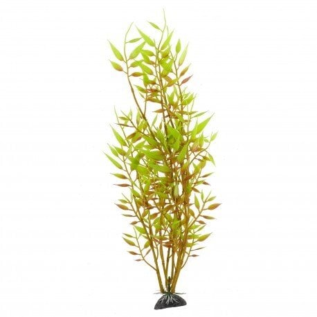 Terra Natura Aqua Natura, roślina, do dekoracji akwarium, żółta, plastikowa, 31 cm, młody beniaminek