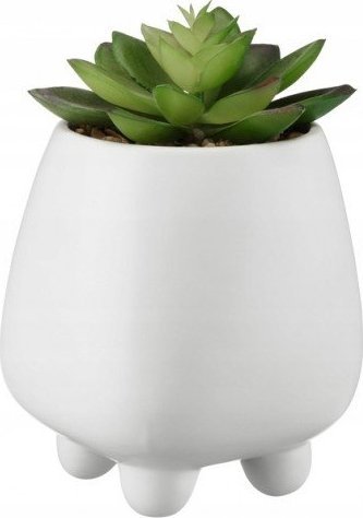 Galicja Sztuczna sukulent w białej doniczce 10x17 cm