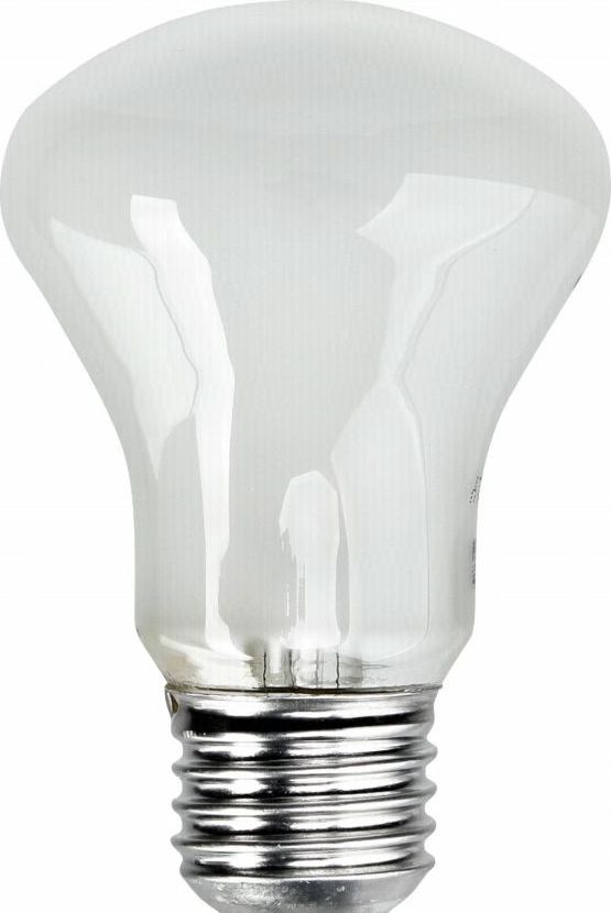 Elinchrom Żarówka E27/196V/100W (23002)