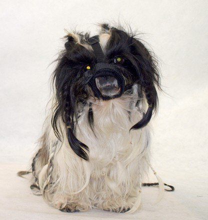 Grande Finale Kaganiec dla psa pekińczyk rozmiar 1 (12-24cm)