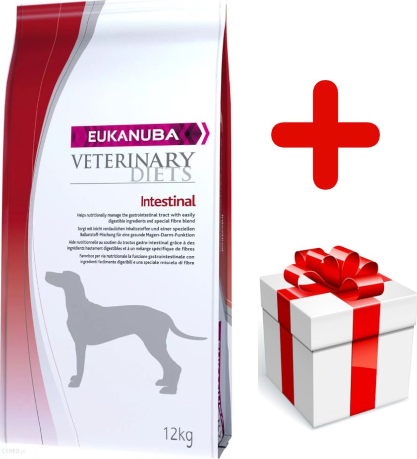 Eukanuba Eukanuba intestinal dog 12kg + niespodzianka dla psa GRATIS!