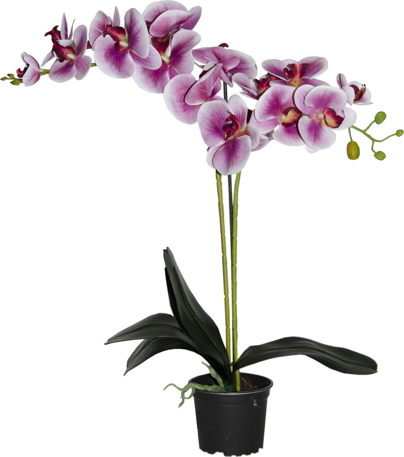 Tajemniczy ogród Storczyk sztuczny premium 18 kwiatów