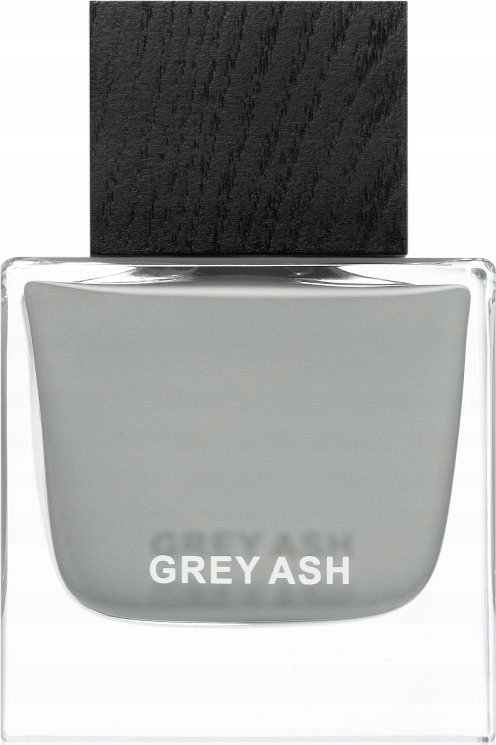 Aurora Aurora, Grey Ash, Eau De Parfum, For Men, 100 ml For Men
