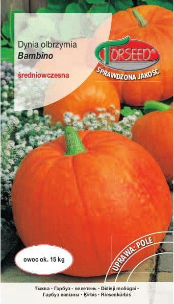 Torseed Nasiona Dynia olbrzymia Bambino 5g