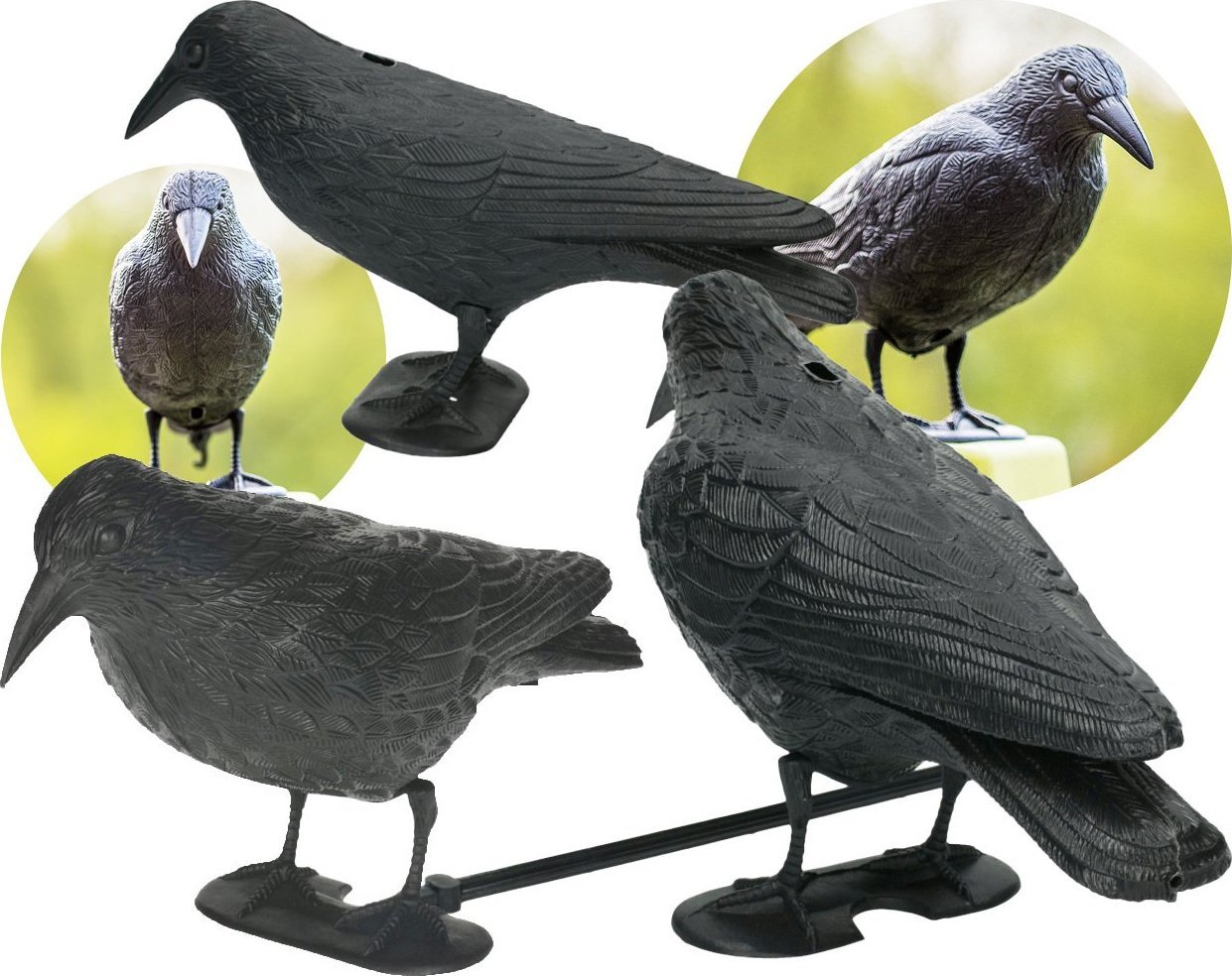 NO PEST Odstraszacz Ptaków Gołębi Szpaków Makieta Ptaka Duży Kruk Stojący Odstraszający Ptaki