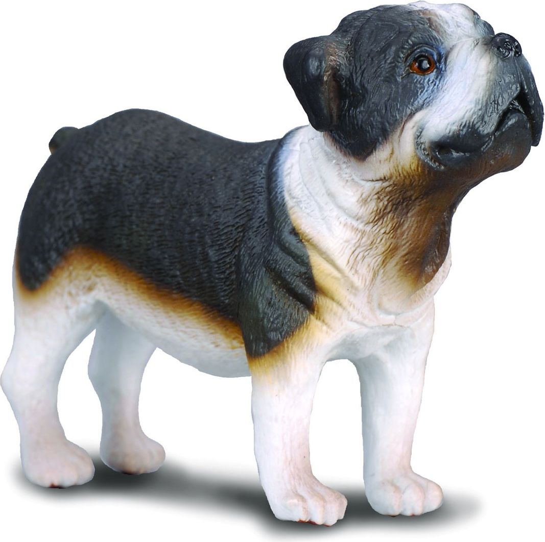 Figurka Collecta Pies rasy Buldog (004-88179)