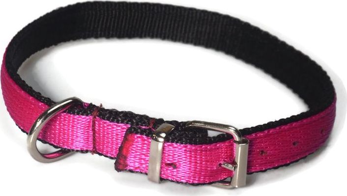 Alizoo Mocna podwójna obroża dla psa 20mm/40-48cm - ALIZOO