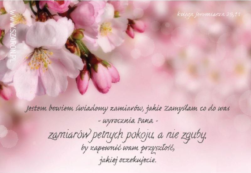 Szaron Magnes na lodówkę - Jestem Bowiem świadomy Jabłoń