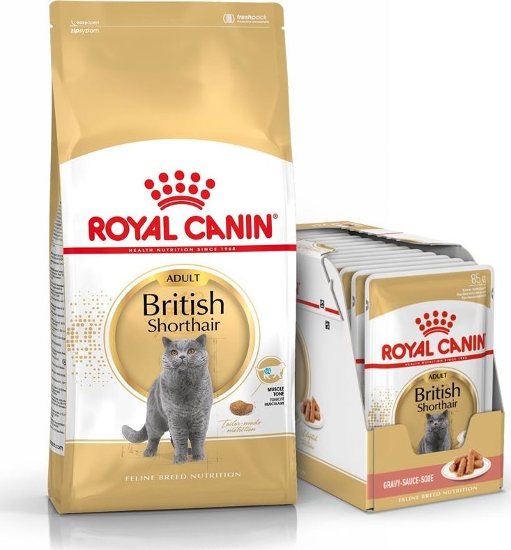 Royal Canin ROYAL CANIN British Shorthair 2kg + 12x British Shorthair Adult saszetka 85g (Sos)