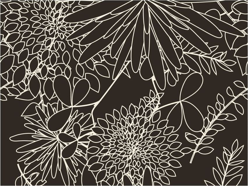 DecoNest Fototapeta - Czarno biały motyw kwiatowy - 350X270