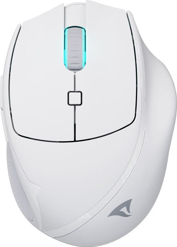 Mysz Sharkoon Sharkoon OfficePal M25W (white)