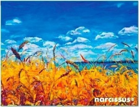 Teczka kopertowa PP A6 Niebo