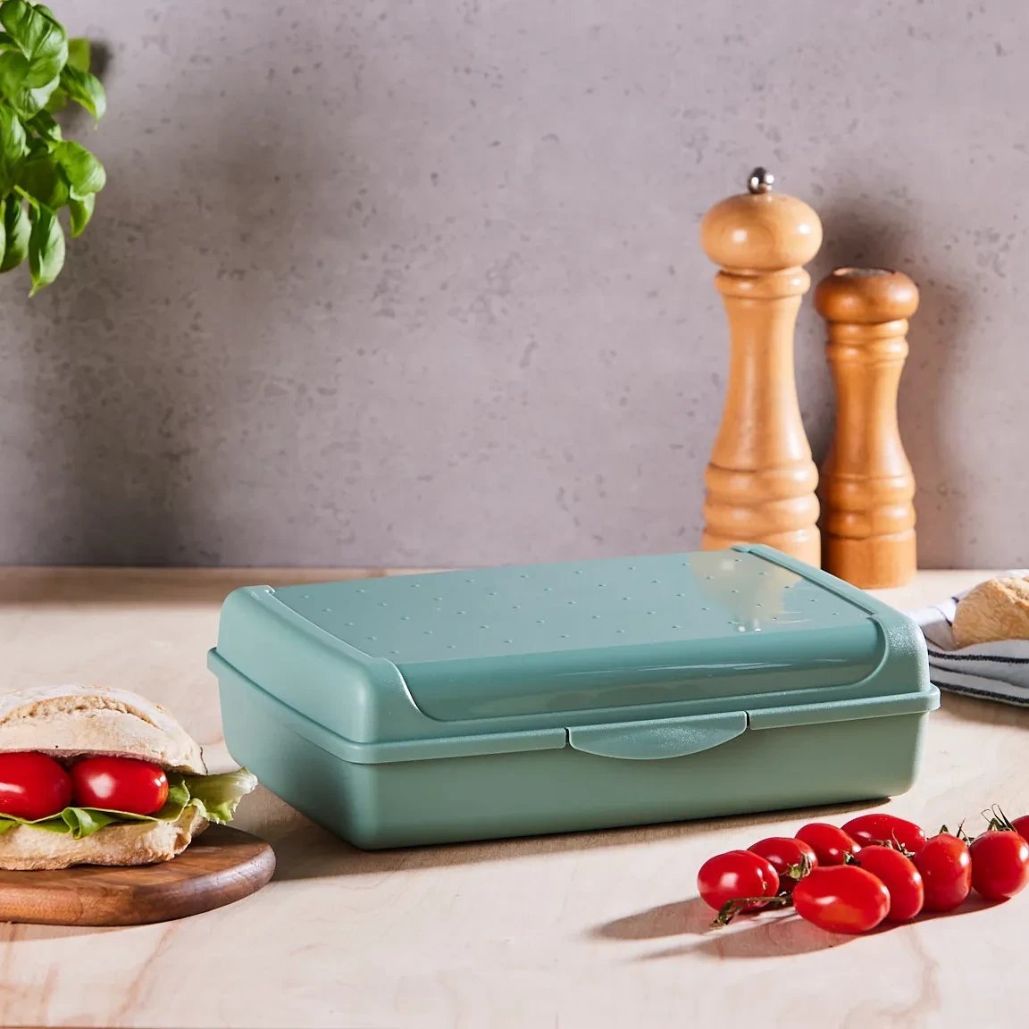 Partikas uzglabasanas trauks click-box maxi 3 7L Luca 30x20x8 5cm zals 4052396081398