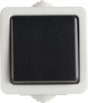 Kanlux Łącznik jednobiegunowy Tenzo śrubowy 10AX 250V czarny (25348)