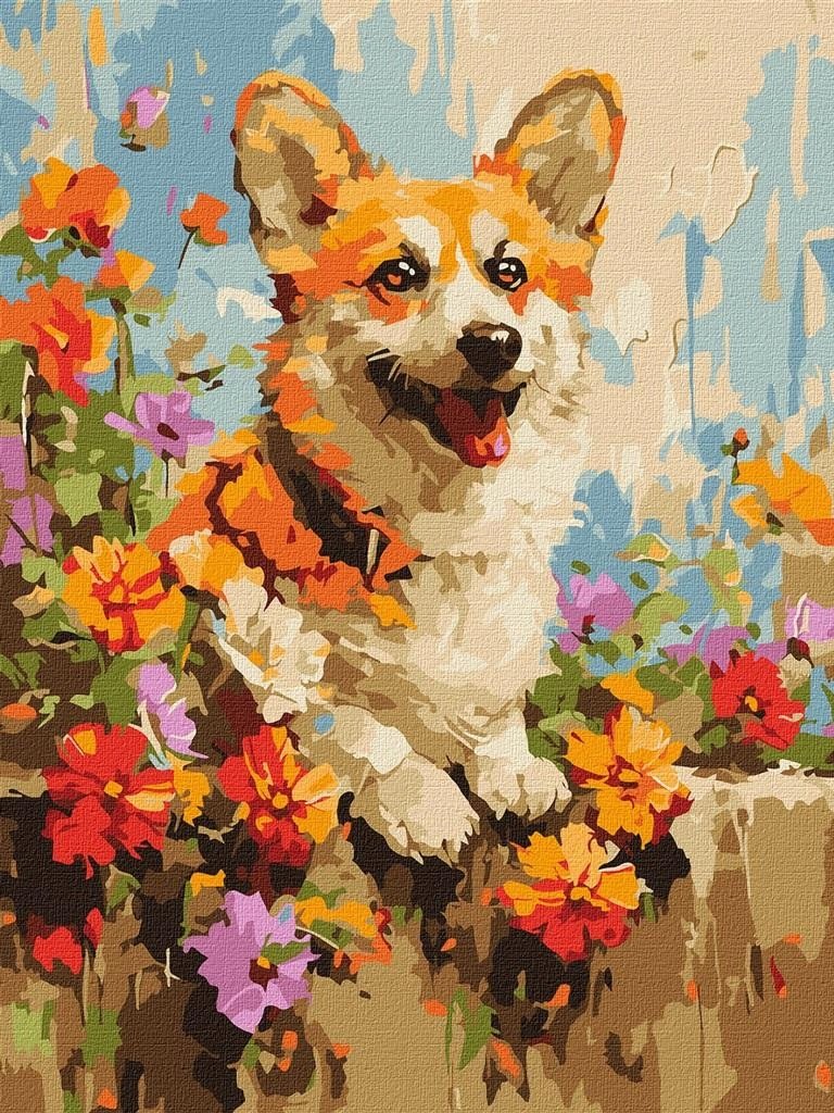 Norimpex Malowanie po numerach - Corgi w kwiatach 30x40cm