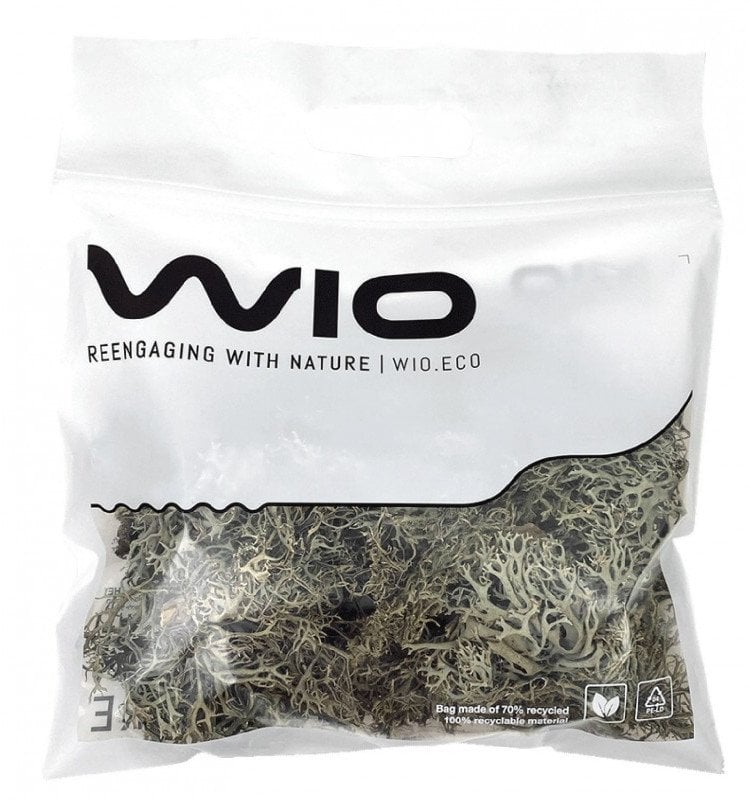 WIO Bits Lichen, porost dekoracyjny, do terrarium, zwarty, 0,5kg, worek