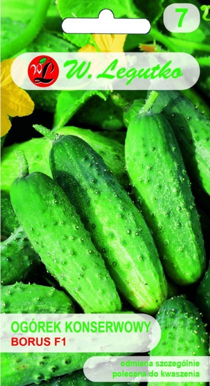 Legutko Nasiona Ogórek gruntowy do kwaszenia Borus F1, 4g