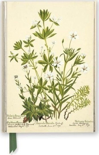 Notatnik A5 linia TW Kwiaty RBGE Charlotte Cowan