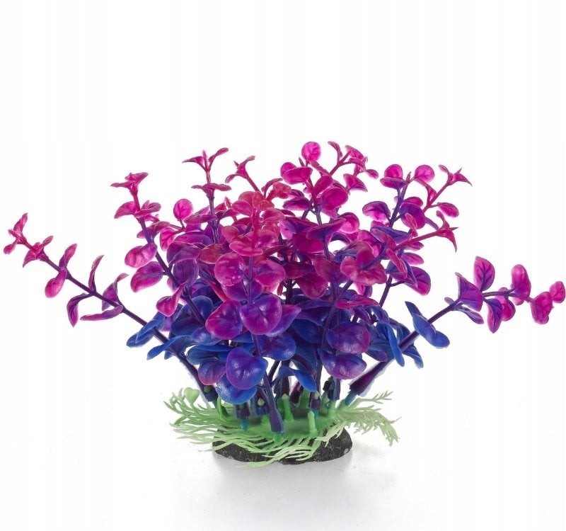 Terra Natura Aqua Natura, roślina do dekoracji akwarium, granatowo-fioletowa, plastikowa, 12 cm, peperomia