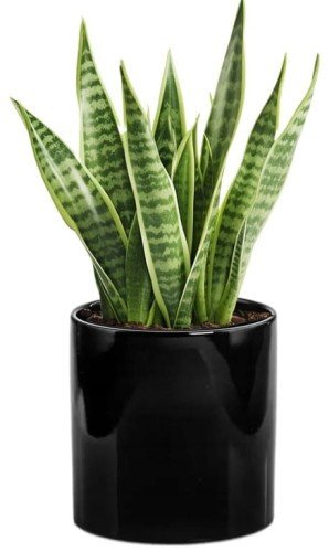 Osłonka ceramiczna czarna walec 23 cm