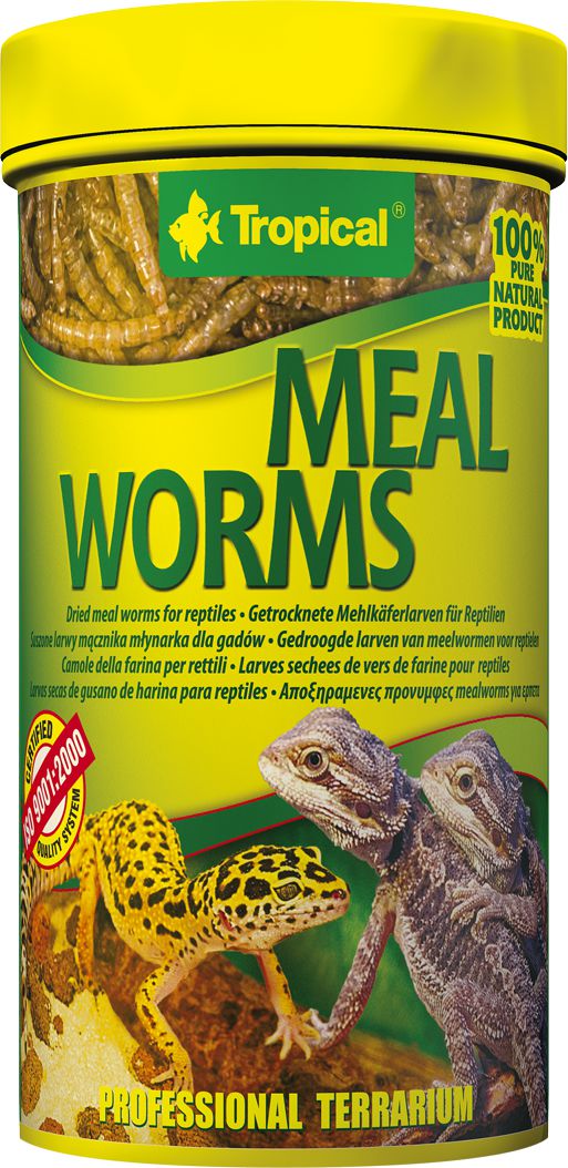 Tropical MEAL WORMS 250ml PUSZKA