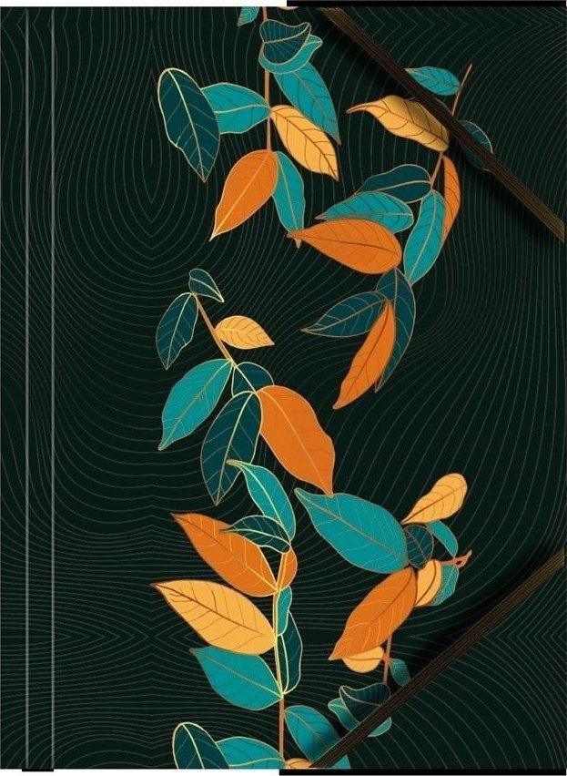 Teczka A4 kartonowa z gumką narożną liście (6szt)