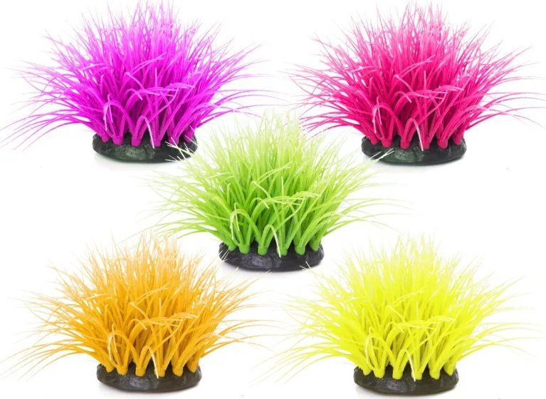 Nobleza Fluorescencyjne eleocharis parvula Fluorescencyjne eleocharis parvula